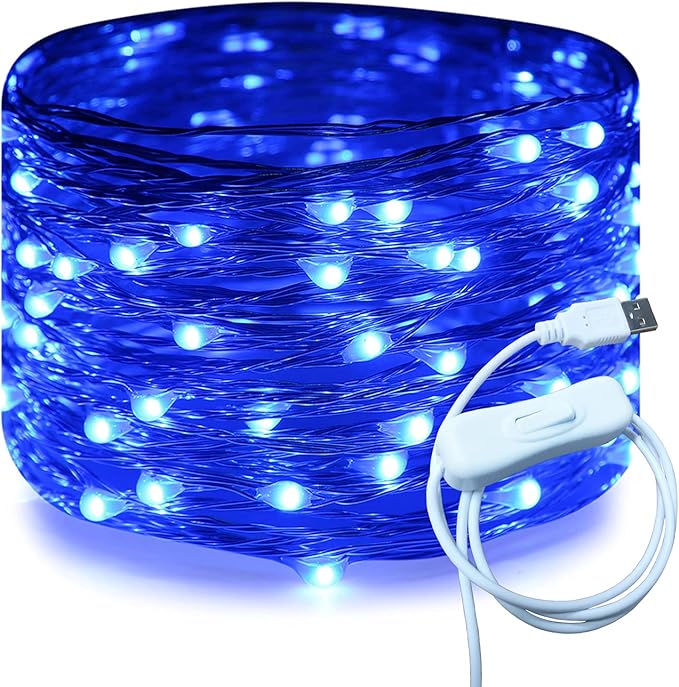 RUICHEN Silver Wire 33 Ft 100 LED USB Fairy String Lights with On/Off Switch (Blue)
