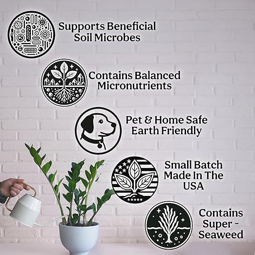 Grow Queen Organic Liquid Indoor Plant Food, Houseplant, Tropical & All-Purpose Indoor Plant Fertilizer, Organic Liquid Fertilizer 5-5-5 with Sea Kelp, 12oz Treats 75 Gallons
