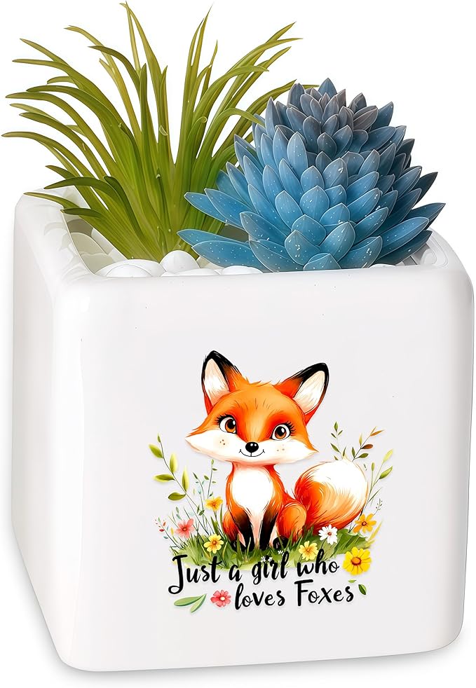 BJDAMAI Fox Succulent Planter Flower Plant Pot Small, Gifts for Women Teens Girls Kids, Fox Lovers Themed Stuff Accessories Things Decor Merch, Home Office Table Desk Decoration!