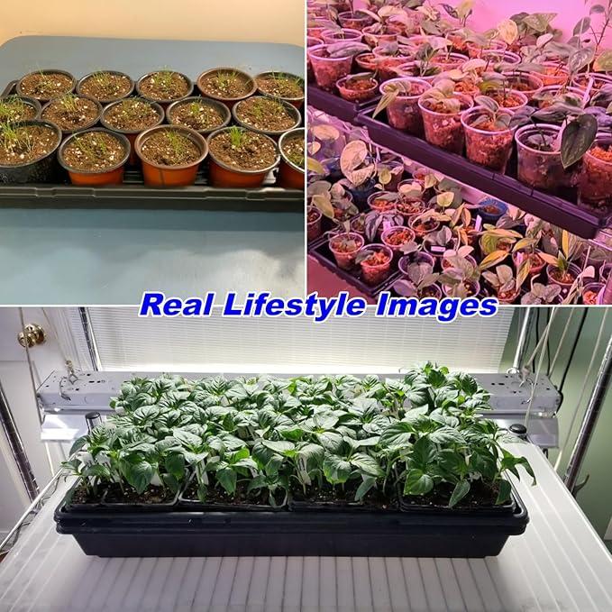 50-Pack Heavy-Duty 1020 Seed Starter Trays, Extra-Thick Plastic Planting Flats for Seed Germination, Microgreens & Seedlings – 21"x11" No-Hole Plant Trays Compatible with 72/128 Plug Inserts