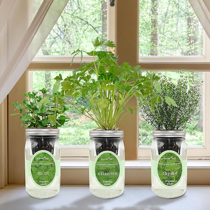 Environet Hydroponic Growing Kit Set, Self-Watering Mason Jar Herb Garden Starter Kit Indoor, Window Herb Garden, Grow Your Own Herbs from Organic Seeds (Mint, Cilantro and Thyme)