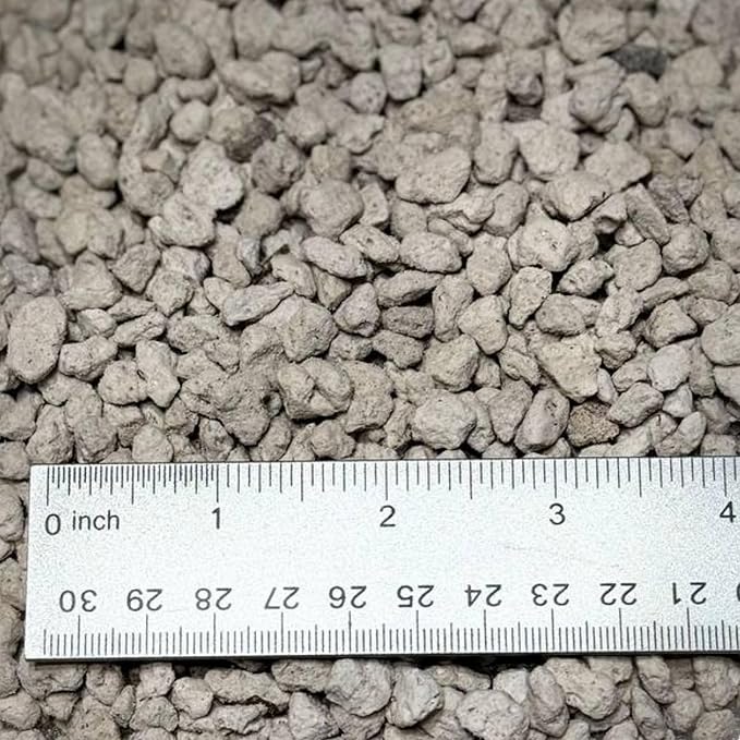 GARDENWISE Horticultural Pumice for Plants, Natural Pumice Stone Soil Amendment, 3/8-1/4 inch, Made in USA (3 quarts - 2.7 lbs)