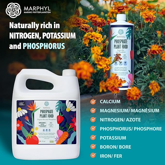 MARPHYL Organic Liquid Phosphate Soil Enhancer. Phosphorus Fertilizer for Garden, Flowers, Vegetables, Succulents, Bamboo, Hydroponics 67.6 oz