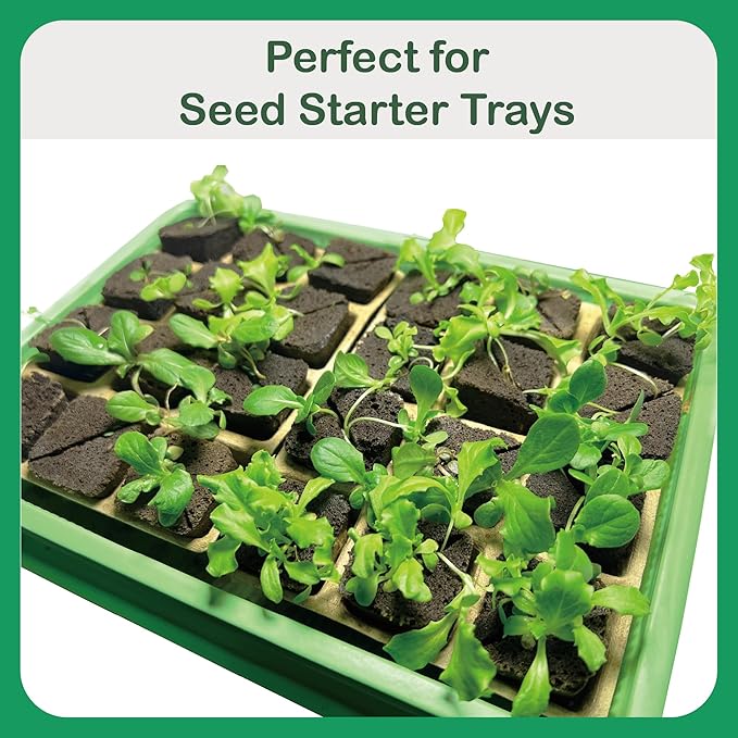 50 Pcs Square Hydroponics Pods, Seed Starter Plugs Rapid Rooter, Grow Sponges for Cactus, Succulent, Replacement Cubes for Seeds or Cuttings
