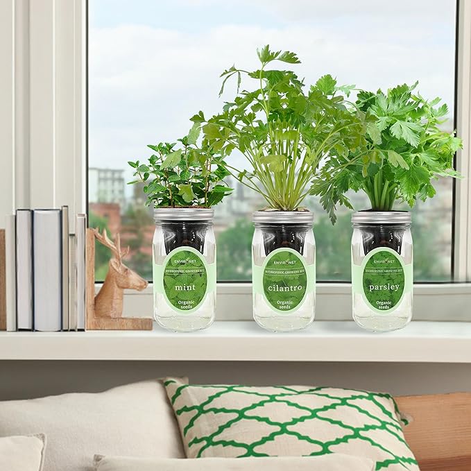 Environet Hydroponic Herb Growing Kit Set, Self-Watering Mason Jar Herb Garden Starter Kit Indoor, Windowsill Herbs Garden, Grow Your Own Herbs from Organic Seeds (Mint, Cilantro and Parsley)