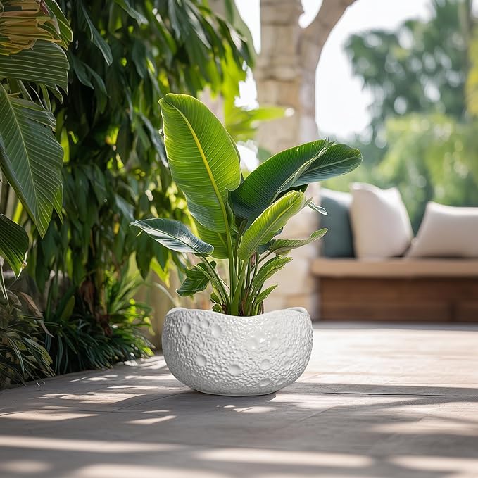 Thirtypot Large Bonsai Pots - 13 Inch Ceramic Planter for Indoor Outdoor, Round Plant Pot, Decorative Flower Pots with Drainage Hole, Modern Unique Planters, Garden Decor Home, Garden Gifts, White