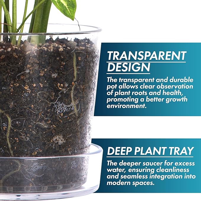 Phoenix Vine 8 Inch Clear Acrylic Planter Pot with Tray, Orchid Pot with Drainage Holes, Deep Saucer for Bottom Watering, Transparent Containers for Indoor Plants, Herbs, Set of 1, 91-A-G-1