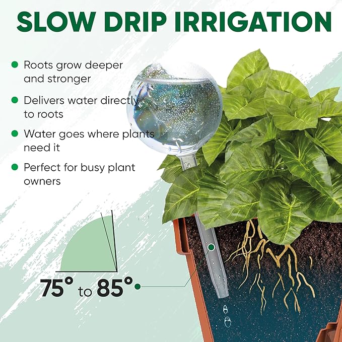 Mission Gallery Clear Plant Watering Globes Set of 6 - Small Self Watering Globes for Indoor & Outdoor Plants - Automatic, Glass Watering Bulbs for Daily Use, Plant Watering Devices