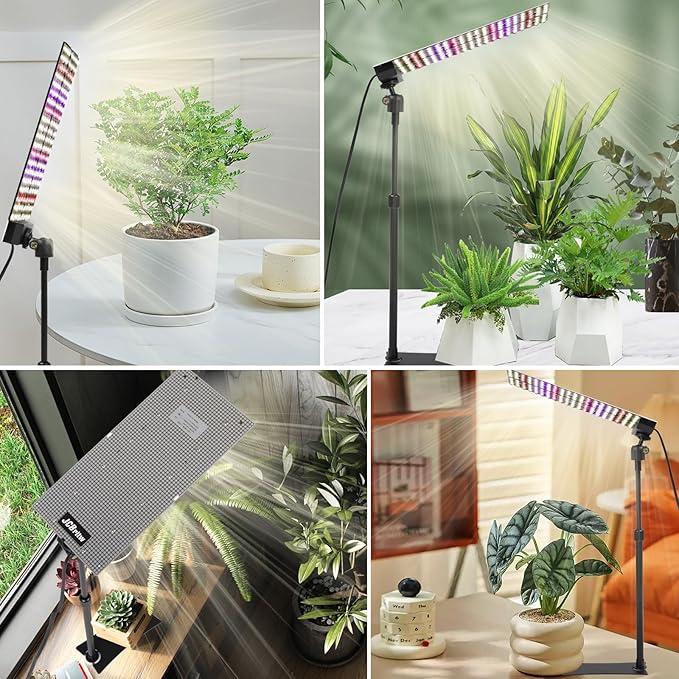 JCBritw 100W LED Grow Light Standing for Indoor Plants, Adjustable Plant Grow Lamp on Stand Full Spectrum, 90 Degree Lens Desk Plant Light for Seed Starting, Seedlings, Veg, Fruits and Flower