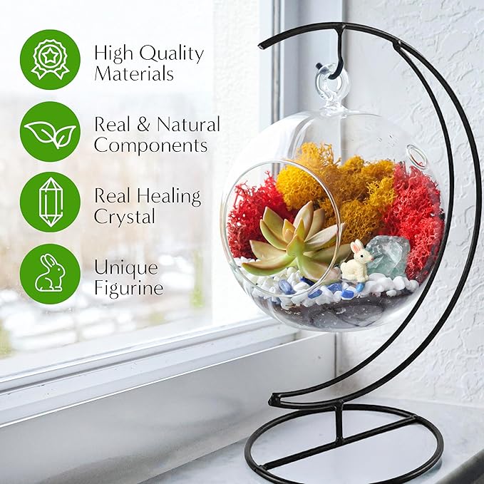 Creations by Nathalie - 5" Glass Globe Succulent Terrarium Kit, Hanging DIY Starter Kit for Kids and Adult, Metal Stand, Reindeer Moss, Crystal & Rocks, Tools, Figurine (Live Plant Included)