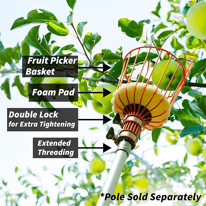 EXTEND-A-REACH Fruit Picker Basket Only // Twist-On Apple Picker Basket Only Fits Standard Acme Extension Pole // Fruit Tree Picker Tool for Orange Mango Avocado Lemon Pear (Pole Sold Separately)