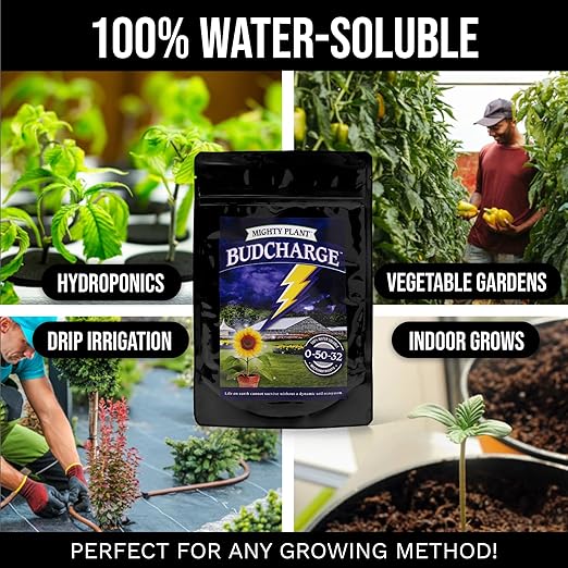 Bloom Booster Flowering Enhancer & Heavy Harvests – High-Density PK Formula – BudCharge 0-50-32 | Ideal for Fruit & Flower Production (1, Pounds)