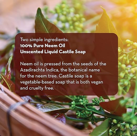 Emily's Naturals Neem Oil Spray for Plants | Kit Makes 48oz of Spray for Indoor & Outdoor Plants - Aceite De Neem para Plantas | Safe and Biodegradable