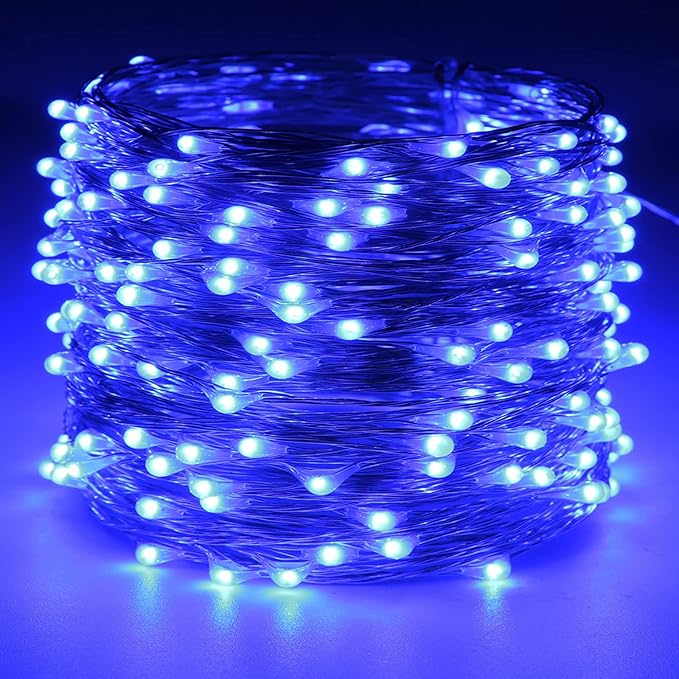 RUICHEN Silver Wire 66 Ft 200 LED USB Fairy String Lights with On/Off Switch (Blue)