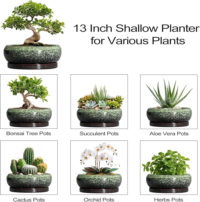EPFamily Bonsai Pots - 13 Inch Ceramic Succulent Planters Indoor, Round Shallow Planter with Drainage Hole and Saucer, Large Succulent Pot, Bowl Planter Outdoor, House Decor, Housewarming Gift, Green
