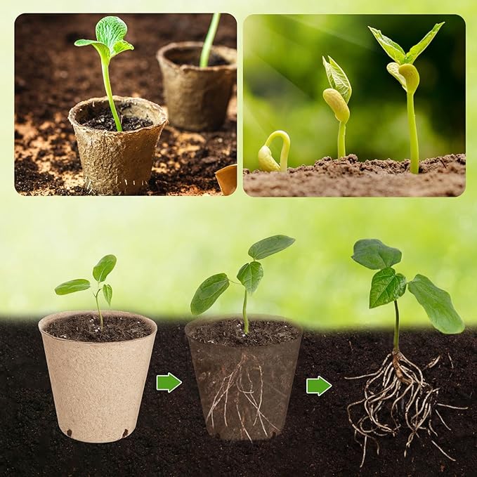 ModaSin 65 Pcs Organic Peat Pots, 3.15 Inch Nursery Pot, Round Plant Seedling Pots with Drainage Holes, Small Seed Starting Starter Tray Bulk, Garden Germination Container with 65 Planting Labels