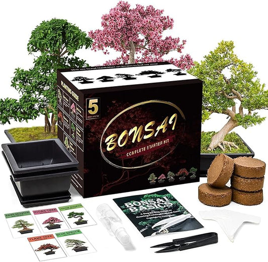 Meekear Bonsai Tree Kit with Complete Plant Growing Tools, Grow in Pot Indoor Bonsai Tree Starter Kit, Home Gardening DIY Gift for Adult