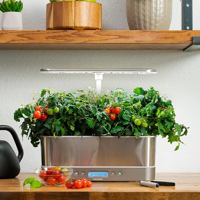AeroGarden Red Heirloom Tomato Seed Pod Kit (6-pod)