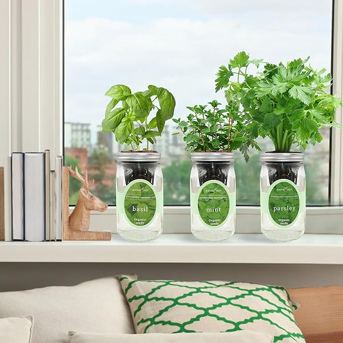 Environet Hydroponic Herb Growing Kit Set, Self-Watering Mason Jar Herb Garden Starter Kit Indoor, Windowsill Herbs Garden, Grow Your Own Herbs from Organic Seeds (Basil, Mint, Parsley)