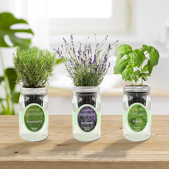 Environet Hydroponic Herb Growing Kit Set, Self-Watering Mason Jar Herb Garden Starter Kit Indoor, New Christmas Gift for Mom (Lavender, Rosemary & Basil)