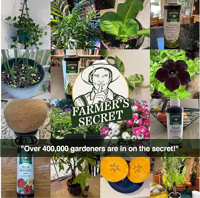Farmer’s Secret Fruit & Bloom Booster Fertilizer (32oz) - Super Concentrated - Boosts Flowering and Yield on All Varieties of Fruits, Vegetables and Flowers