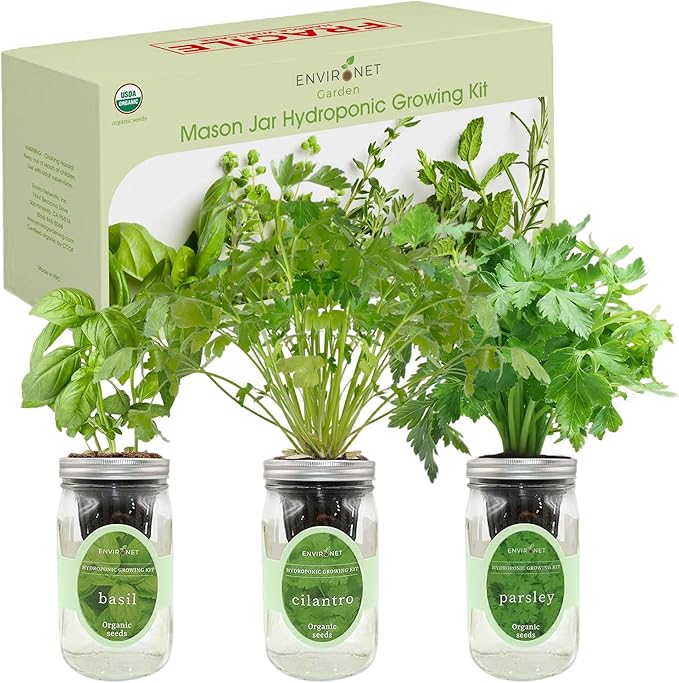 Environet Hydroponic Herb Growing Kit Set, Self-Watering Mason Jar Herb Garden Starter Kit Indoor, Windowsill Herbs Garden, Grow Your Own Herbs from Organic Seeds (Basil, Cilantro and Parsley)