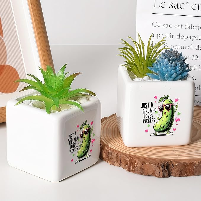 BJDAMAI Pickle Succulent Planter Flower Plant Pot Small, Gifts for Women Teens Girls Kids, Pickle Lovers Themed Stuff Accessories Things Decor Merch, Home Office Table Desk Decoration!