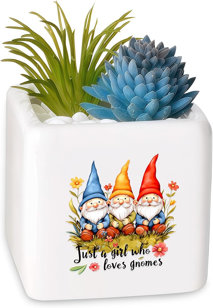 BJDAMAI Gnomes Succulent Planter Flower Plant Pot Small, Gifts for Women Teens Girls Kids, Gnomes Lovers Themed Stuff Accessories Things Decor Merch, Home Office Table Desk Decoration!