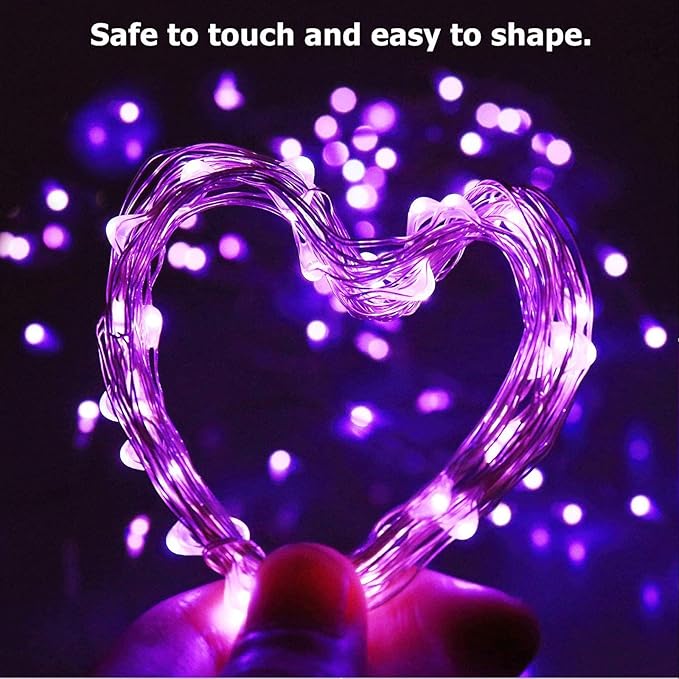 RUICHEN Silver Wire 33 Ft 100 LED USB Fairy String Lights with On/Off Switch (Purple)