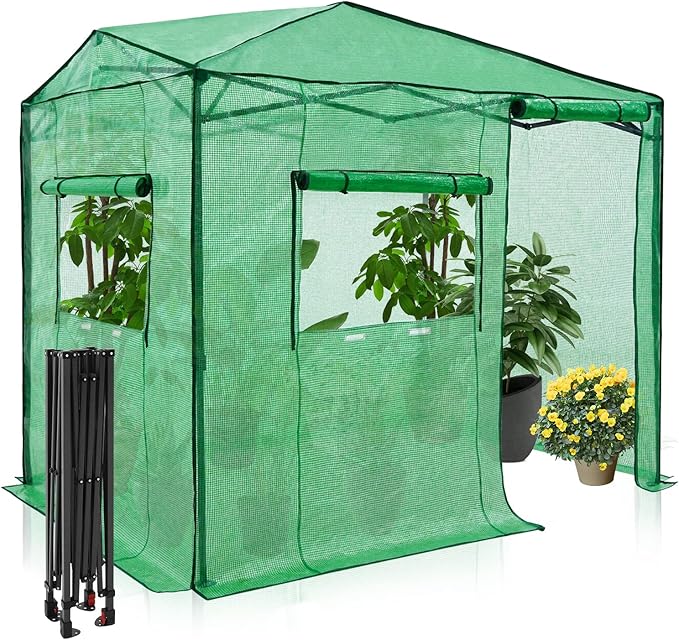 EAGLE PEAK Instant Pop-up Greenhouse, Indoor Outdoor Plant Gardening Green House, Roll-Up Zipper Doors and Side Windows, Walk in 8x6 ft, Green/Clear