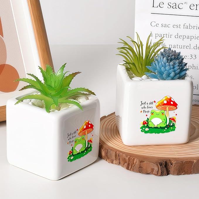 BJDAMAI Frog Succulent Planter Flower Plant Pot Small, Gifts for Women Teens Girls Kids, Frog Lovers Themed Stuff Accessories Things Decor Merch, Home Office Table Desk Decoration!