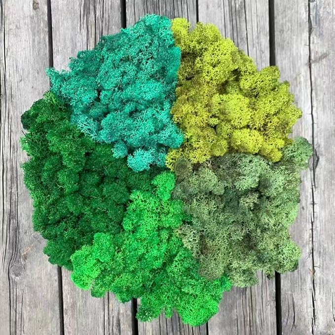 prefleur Preserved Reindeer Moss Natural Green DIY Kit Gardenning Art Wall Decor Florist Decor Easter Table Decor Wedding