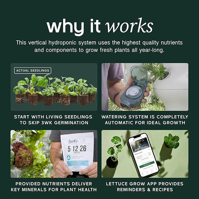 Farmstand Starter Kit with Glow Rings and 36 Seedling Credits | Large Hydroponic Growing System Kit | Vertical Garden Planter Tower | 6ft 7in Tall