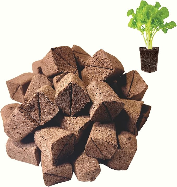 50 Pcs Square Hydroponics Pods, Seed Starter Plugs Rapid Rooter, Grow Sponges for Cactus, Succulent, Replacement Cubes for Seeds or Cuttings