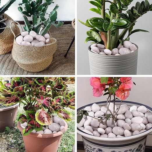 Lechloris 20Ib White River Rocks for Landscaping- High Polished Pebbles for Plants-Garden Decorative Stones-1-2 Large Plant Rocks,Ideal for Aquarium, Home Decor