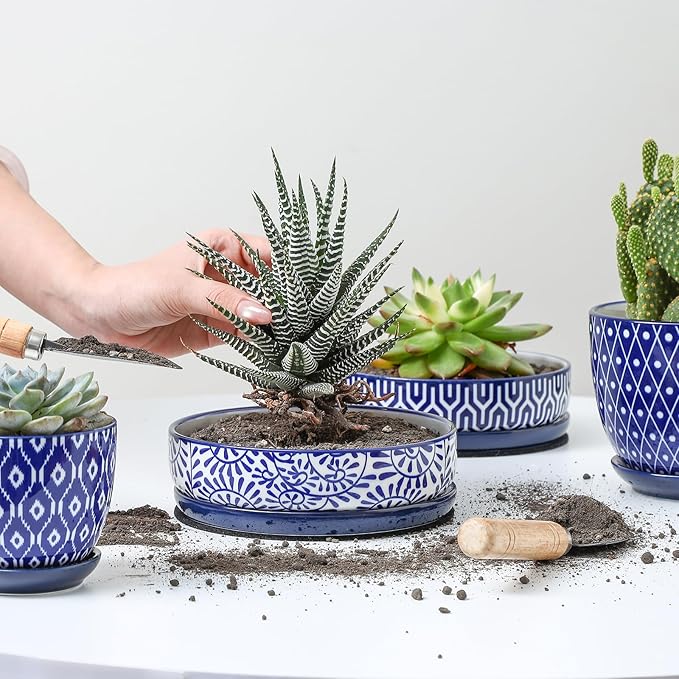Selamica Ceramic Succulent Pots, Shallow Succulent Planters with Drainage Hole & Saucer, Indoor Plant Pots for Cactus, Home Decor，Vintage Blue,6 inch