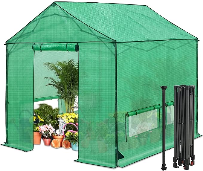 10x10 Pop Up Walk-in Greenhouse, Indoor & Outdoor PE Cover Green House with Power Access Ports, Support Pole, Roll-up Zippered Doors and Windows, Green