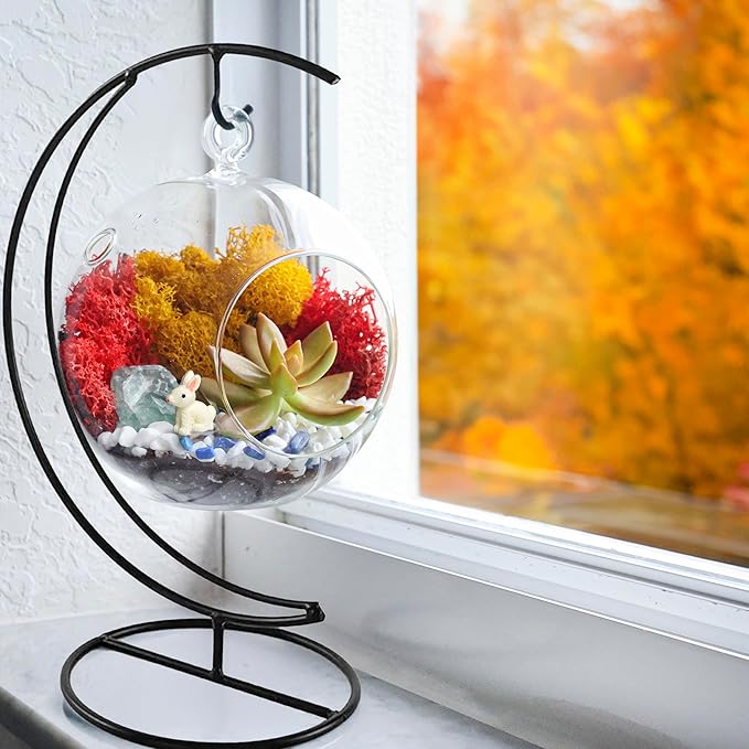 Creations by Nathalie - 5" Glass Globe Succulent Terrarium Kit, Hanging DIY Starter Kit for Kids and Adult, Metal Stand, Reindeer Moss, Crystal & Rocks, Tools, Figurine (Live Plant Included)