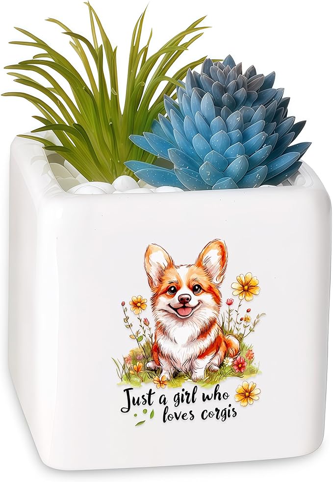 BJDAMAI Corgi Succulent Planter Flower Plant Pot Small, Gifts for Women Teens Girls Kids, Corgi Lovers Themed Stuff Accessories Things Decor Merch, Home Office Table Desk Decoration!