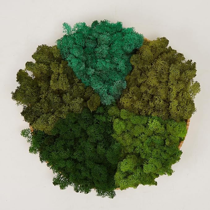 prefleur Preserved Reindeer Moss Natural Green DIY Kit Gardenning Art Wall Decor Florist Decor Easter Table Decor Wedding