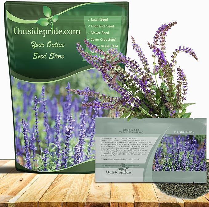 Outsidepride Blue Sage Seeds - 5000 Pcs Perennial, Drought-Tolerant & Deer-Resistant Wildflower Seeds w/Fragrant Blooms for Pollinator Attractant for Butterfly & Hummingbird Gardens & Landscaping