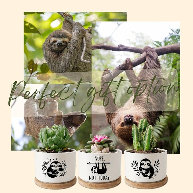InnoBeta Sloth Gifts Succulent Plant Pots 3pcs, Gifts for Sloth Lovers, Planter Pot with Bamboo Tray, Plants NOT Included, Cute Ceramic Pots for Birthday, Christmas
