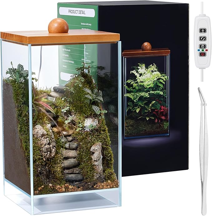 13.7H+7.8W Desktop Glass Plant Terrarium with Light, Large Propagation Station for Succulent, Moss, Miniature Gardening Landscape, Betta Fish Tank