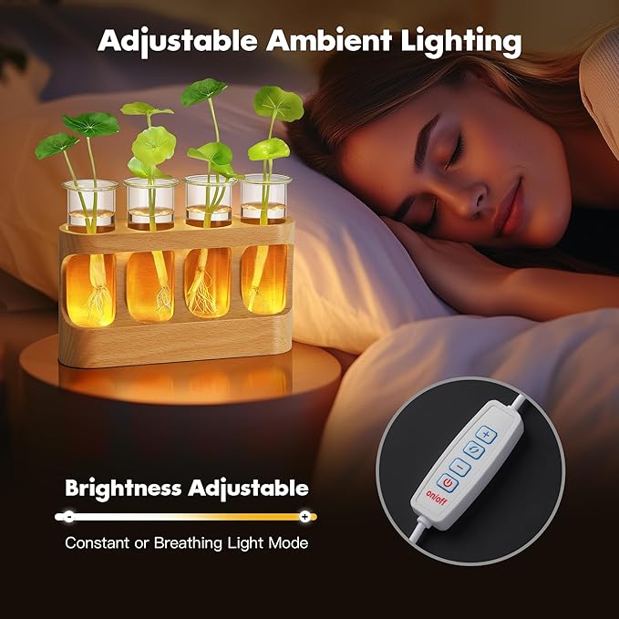 Plant Propagation Station with LED Light – Beech Wood & Glass Desk Decor, Indoor Terrarium with Wooden Stand, Plant Gifts for Women Plant Lovers
