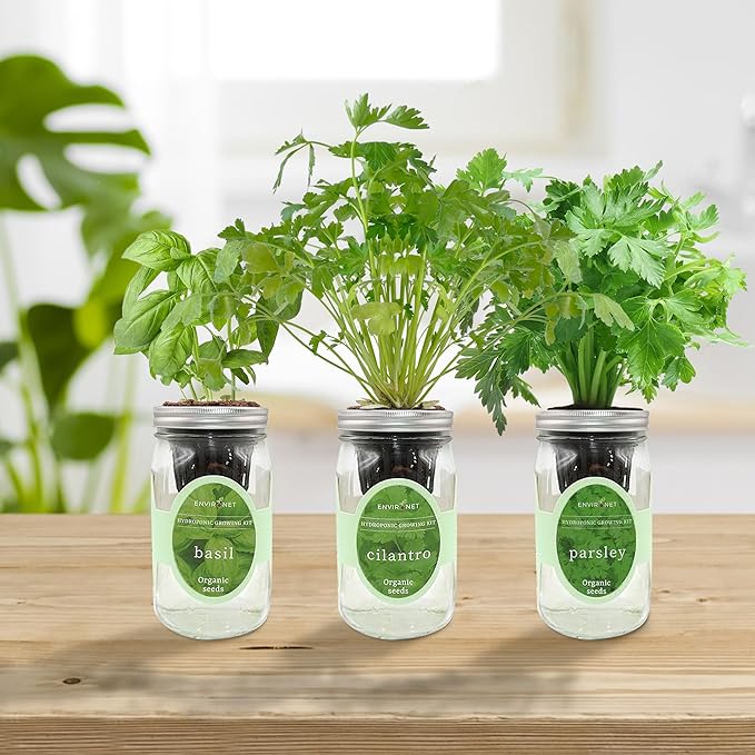 Environet Hydroponic Herb Growing Kit Set, Self-Watering Mason Jar Herb Garden Starter Kit Indoor, Windowsill Herbs Garden, Grow Your Own Herbs from Organic Seeds (Basil, Cilantro and Parsley)