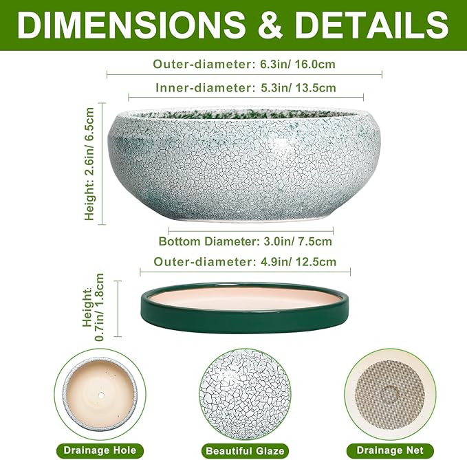 EPFamily Succulent Pots - 6 Inch Ceramic Pots for Succulent Indoor Outdoor, Small Plant Pot with Drainage Hole and Saucer, Bonsai Pot, Modern Round Planter, Window Decor, Housewarming Gifts, Green