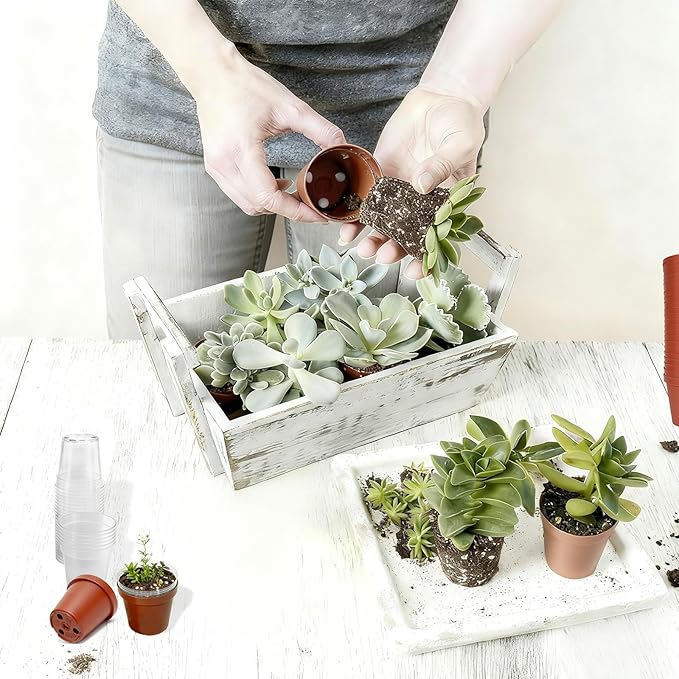 Gyfofix 2 Inch Round Nursery Seedling Pots (Red+Clear),100 Pack Mini Plastic Seedling Planter,Sturdy Small Plastic Pots with Drainage Holes for Seed Starting, Succulents, Indoor Outdoor Gardening