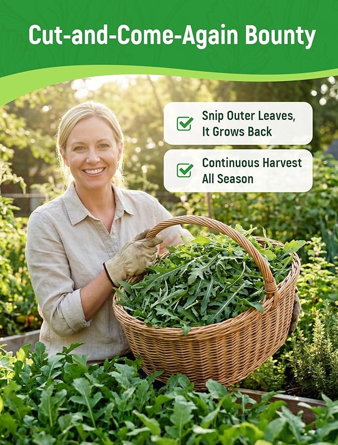 Arugula Seeds for Planting - Heirloom Roquette Seeds, Fast-Growing Peppery Greens for Indoor/Outdoor Gardens, Harvest in 3-4 Weeks, Cut-and-Come-Again Salad Seeds