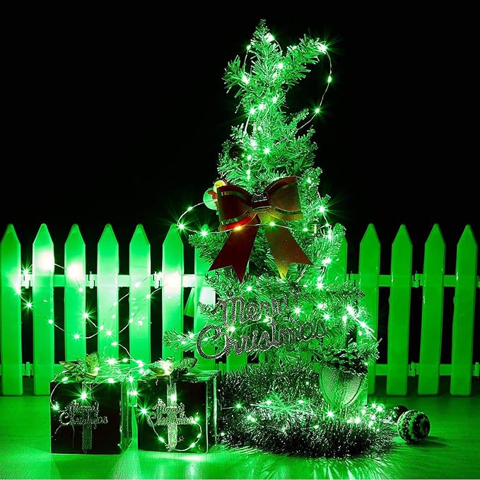 RUICHEN Silver Wire 66 Ft 200 LED USB Fairy String Lights with On/Off Switch (Green)
