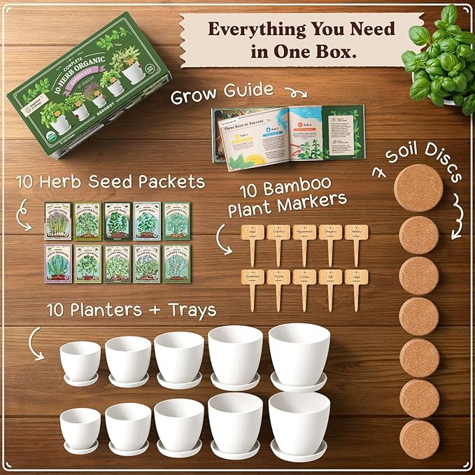 Seedboy Organic 10 Herb Garden Starter Kit for Planting Indoor or Outdoor, Non-GMO USDA Certified Seed, Cool Unique Gift for Gardeners, Mom Birthday, Friends, Plant Lovers (Herb Garden Starter Kit)